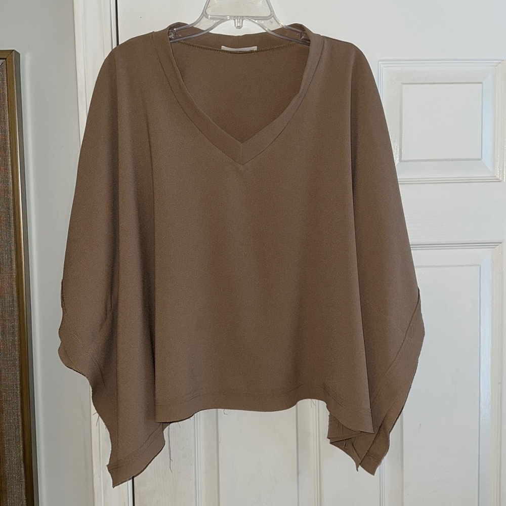 Taupe Dressy Blouse